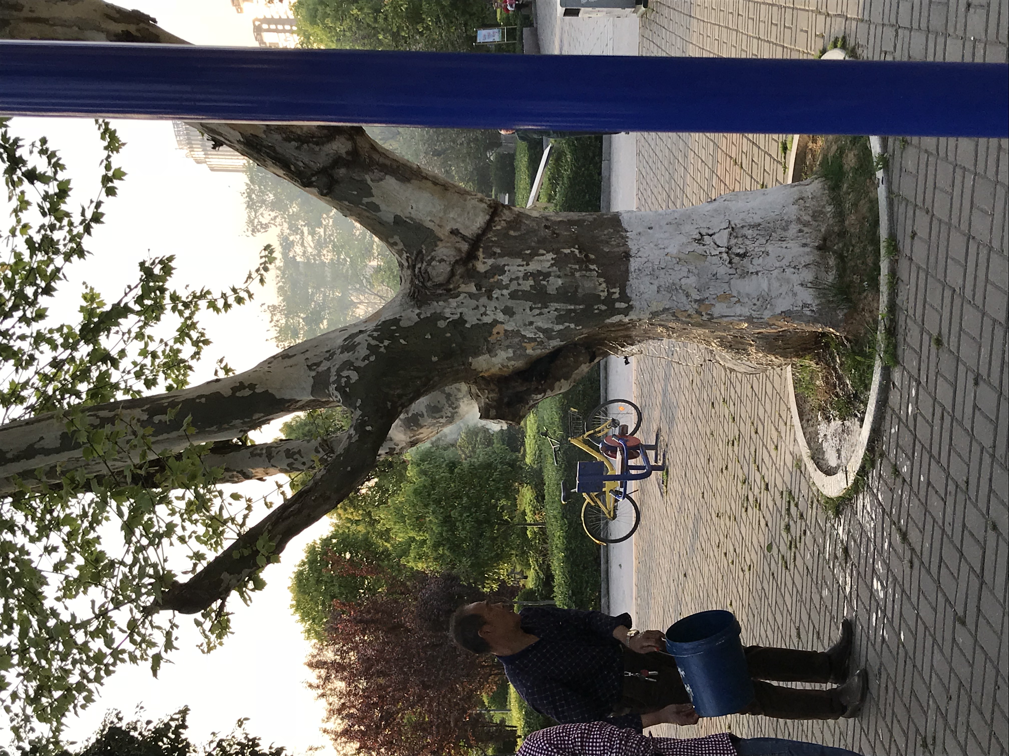 ./2018/03 - Viking China/18 - YiChang/IMG_8662.JPG